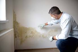 Reliable Genoa, OH Mold Removal & Remediation Solutions